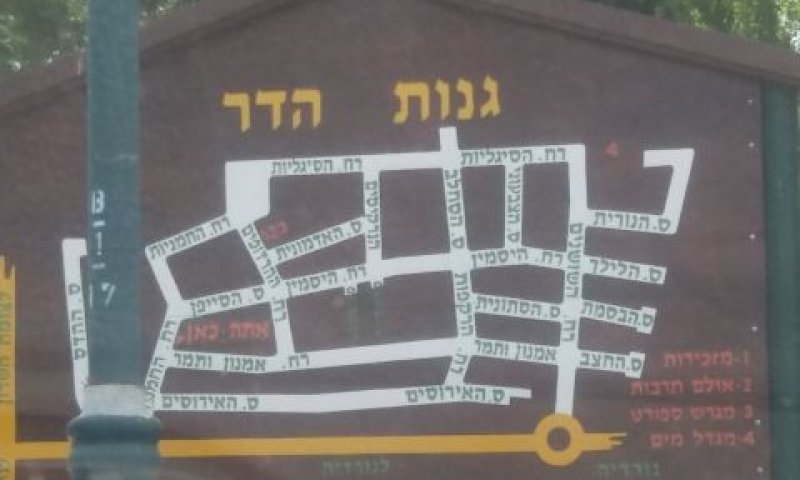 בית בגנות הדר [צילום: דורית טוירשטיין]