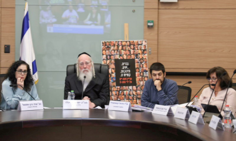 הדיון בוועדה [צילום: דני שם טוב, דוברות הכנסת]