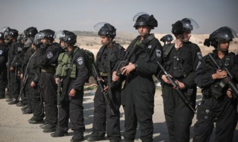 ללא אח ורע [צילום אילוסטרציה: הדס פרוש, פלאש 90]