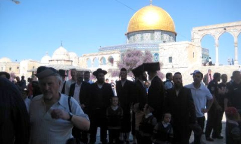 יהודים מסיירים בהר הבית