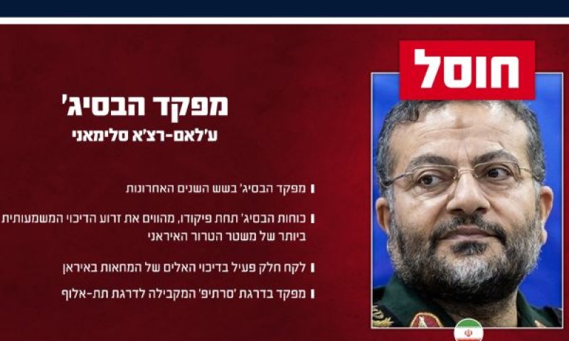 סלימאני, מפקד יחידת הבסיג'. חוסל [צילום: דובר צה"ל]