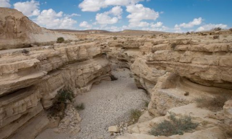 נחל צין. פעמיים בתוך שלושה חודשים [צילום: נאור קיסבורסקי, פלאש 90]