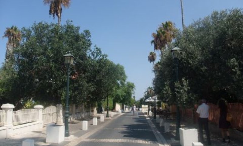 עתירת בעלי קרקעות בזכרון יעקב