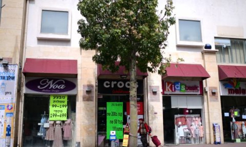 חנויות ייפתחו חלקית [צילום: פלאש 90]