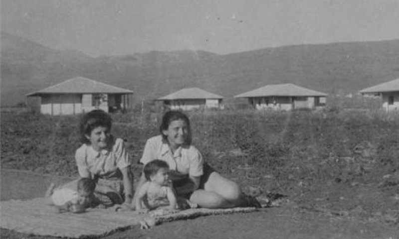 התקבל ערעורו של קיבוץ שדה נחמיה [צילום: לזר דינר, קק"ל]