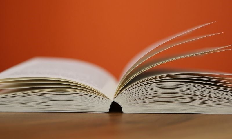 [צילום: pexels]