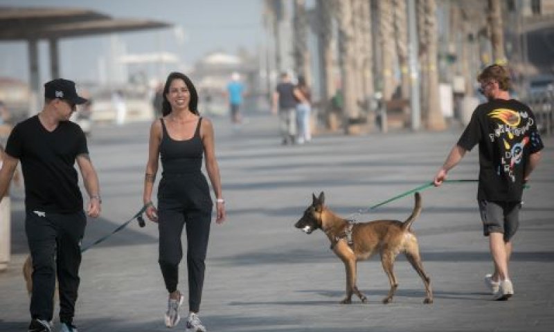רק עם רצועה [צילום: מרים אלסטר/פלאש 90]