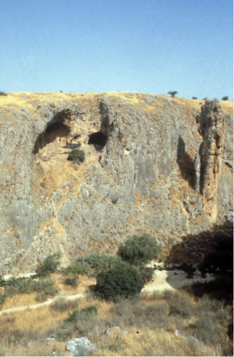 עצמות הרגל הידועות כ'עמוד 9' בדד מערת עמוד [צילום: פרופ' אראלה חוברס, האוניברסיטה העברית]
