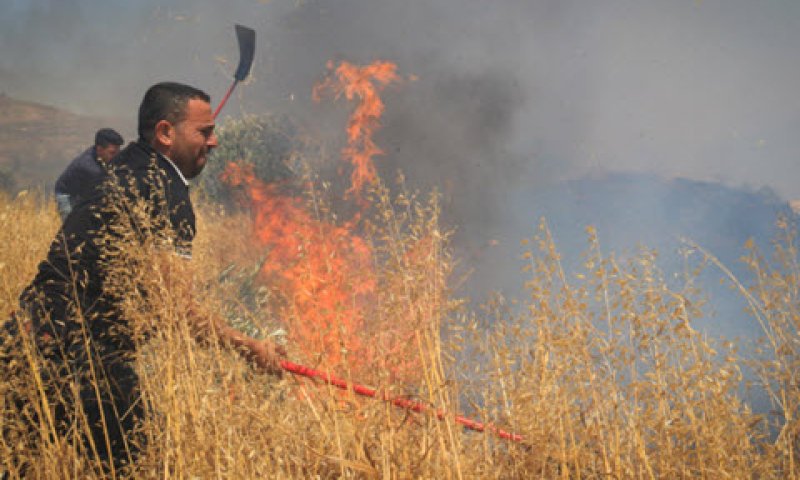 [צילום: היית'אם שטייה/פלאש 90]