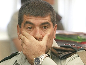 טיפול בכוח אדם. אשכנזי