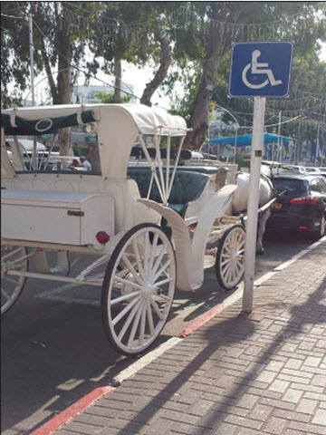 [צילום: אור ירוק]