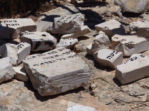 [צילום: נתן רפאלי]