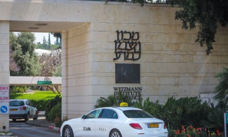 בניגוד לכללי הות"ת ונוהלי המכון [צילום: יוסי אלוני, פלאש 90]