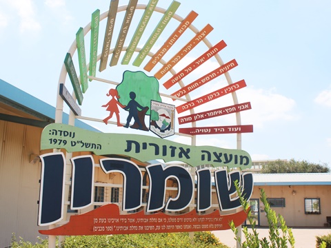 המועצה לא מונעת את פעילות הוועדה [צילום: איציק וולף]