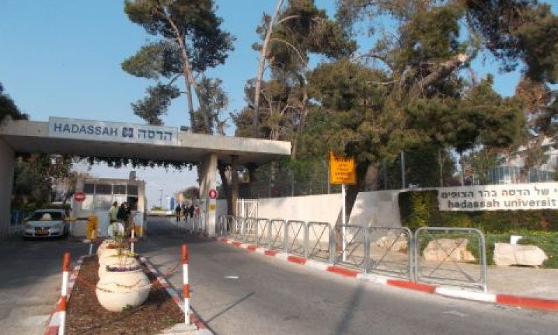 הדסה. רופאים ואחיות נוטשים