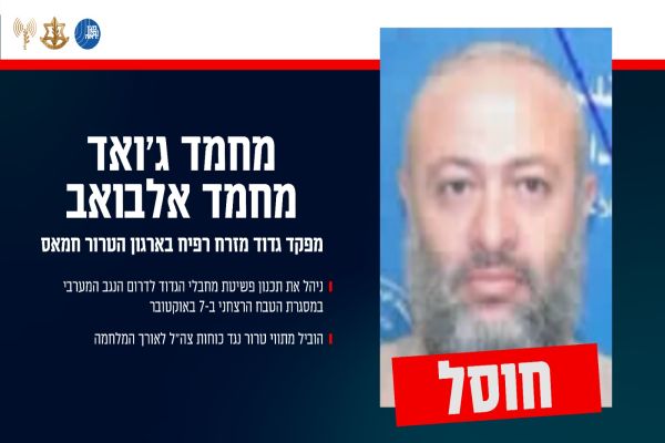 [צילום: דובר צה"ל]