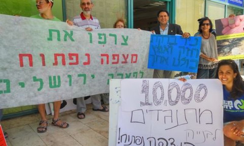 פעילי מגמה ירוקה