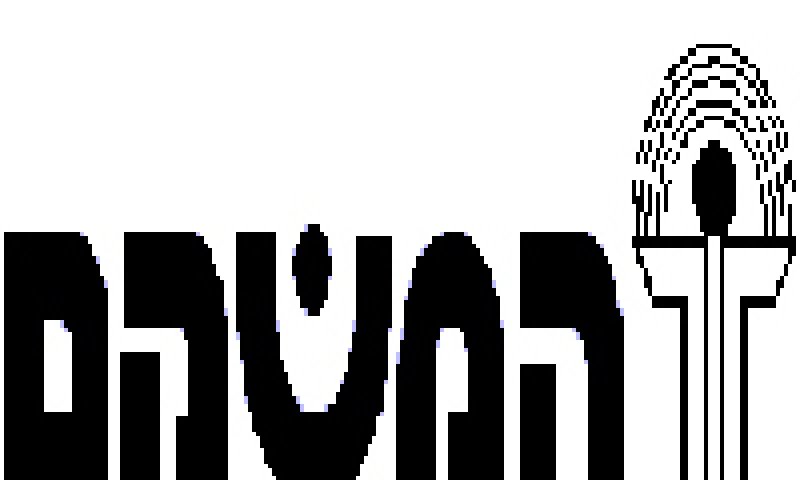 תנאי העסקה נוחים לאוכלוסיה המיוחדת