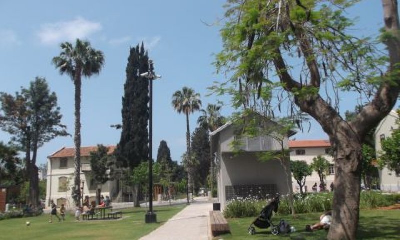 שרונה [צילום: איתמר לוין]