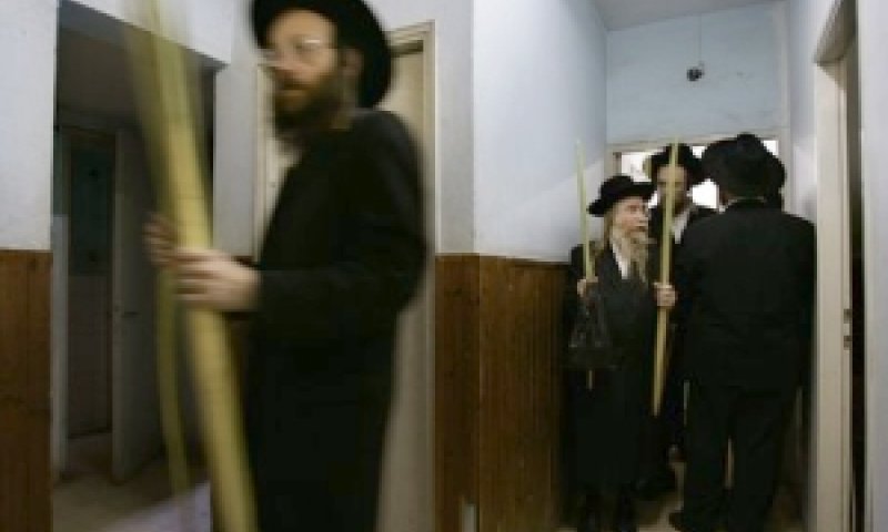 לולבים לחסידים. די והותר