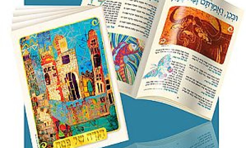 [צילום: יח"צ]