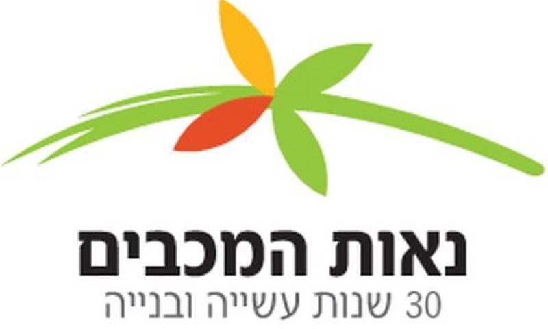 "תיקונים קוסמטיים"