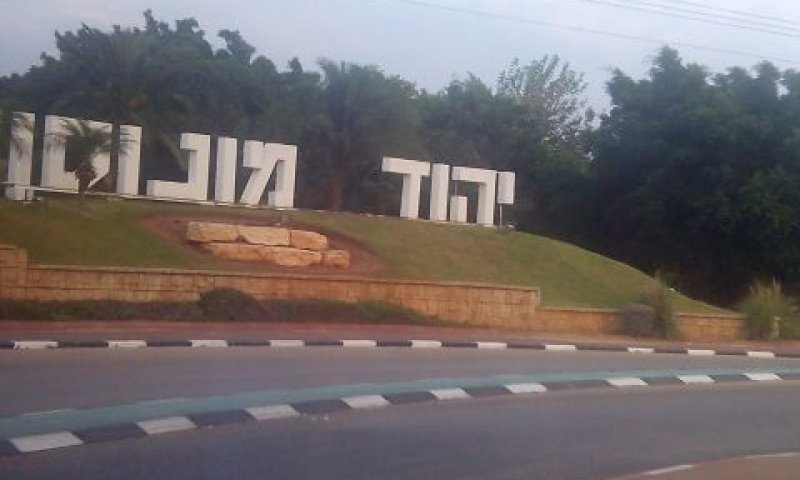 [צילום: איתמר לוין]