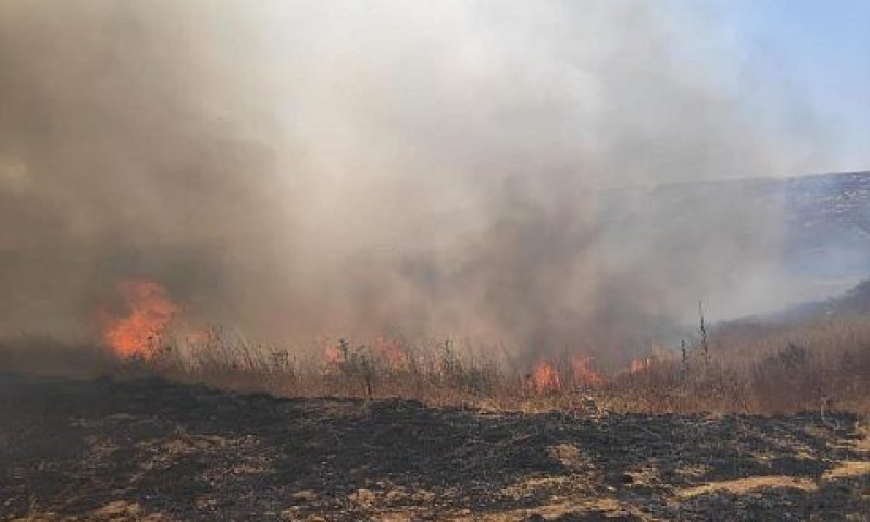 פשיעה חקלאית. מתמודדים לבד עם המכה [צילום: ארגון השומר החדש]
