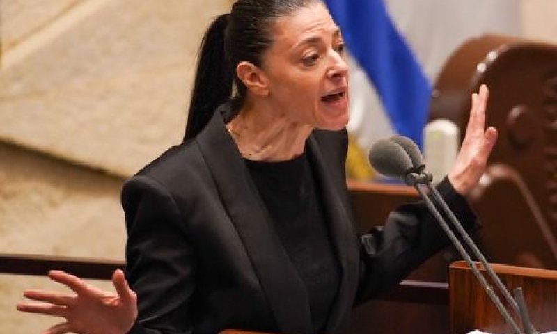 מיכאלי. "הפגנות נגד חיים של ילד בן 8" [צילום: דני שם-טוב/דוברות הכנסת]