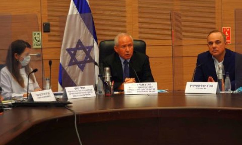 השר שטייניץ ודיכטר בדיון בוועדה [צילום: דוברות הכנסת, עדינה ולמן]