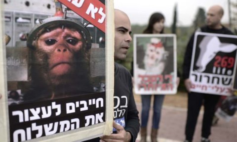 אחרי שנים רבות [צילום: תומר נויברג/פלאש 90]