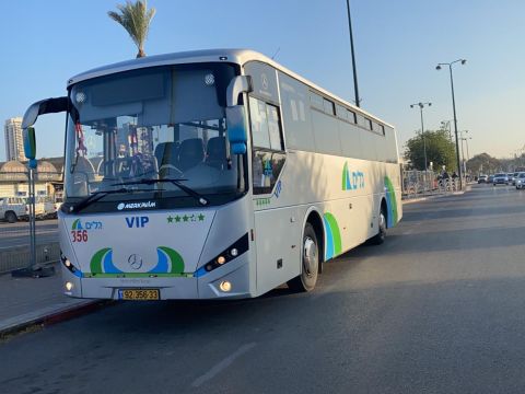גלים. רשמה עלייה [צילום: יח"צ]