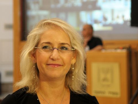שטאובר. השנה נפתחה ללא תקלות [צילום: מוקי שוורץ]