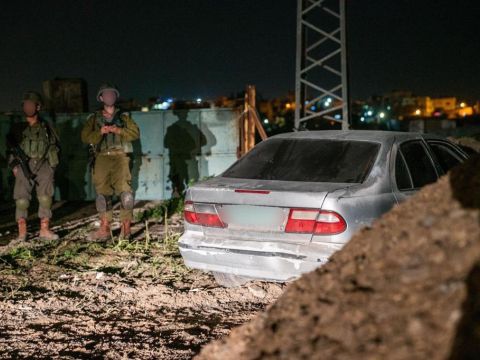 [צילום: דו"צ]