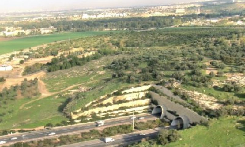 מנהרות בכביש 6 [צילום: סרטון תדמית דרך ארץ]