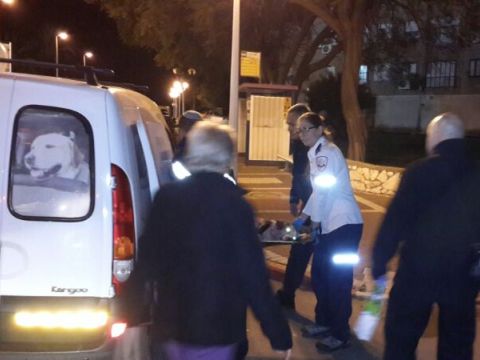 [צילום: דוברות מד"א]