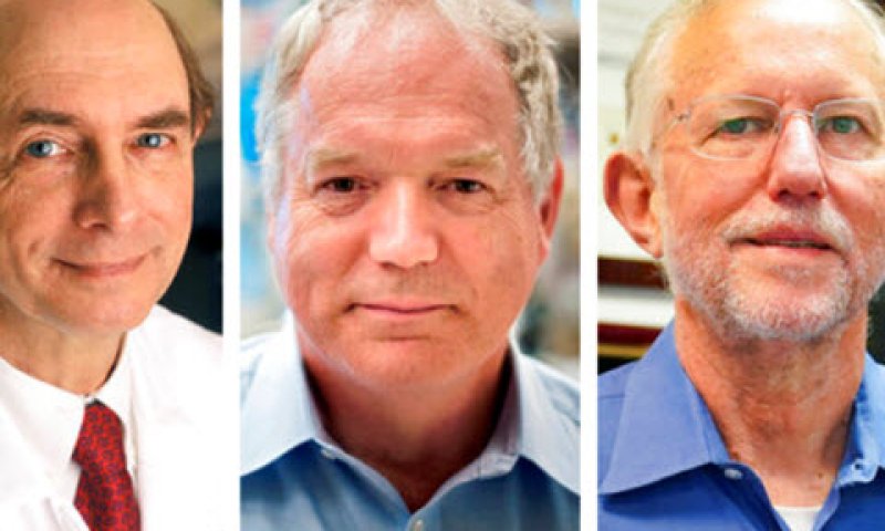 משמאל - הארווי אלטר, צ'ארלס רייס ומייקל האוטון [צילום: ג'ון מינצ'ילו/AP]