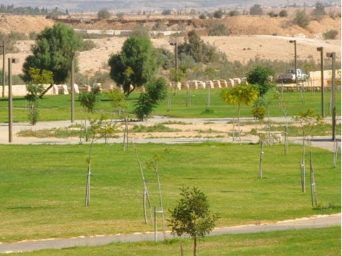 פארק נחל באר שבע [צילום: רונית סבירסקי/קק"ל]