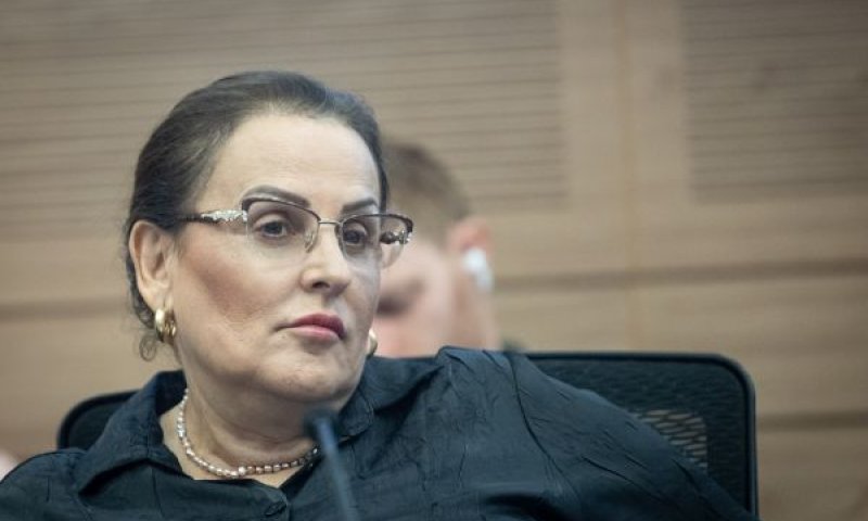 [צילום: חיים גולדברג/פלאש 90]