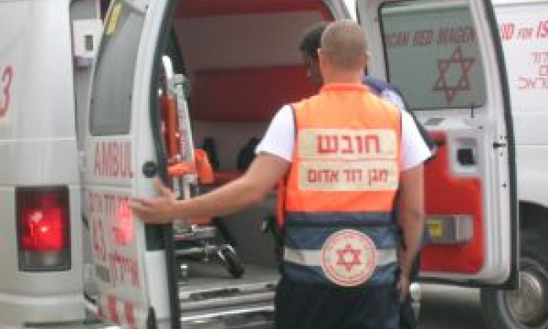 [צילום: עומר שיקלר]