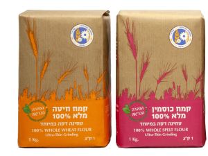 [צילום: מנחם גרייבסקי]