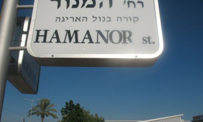 [צילום: אלי אלון]