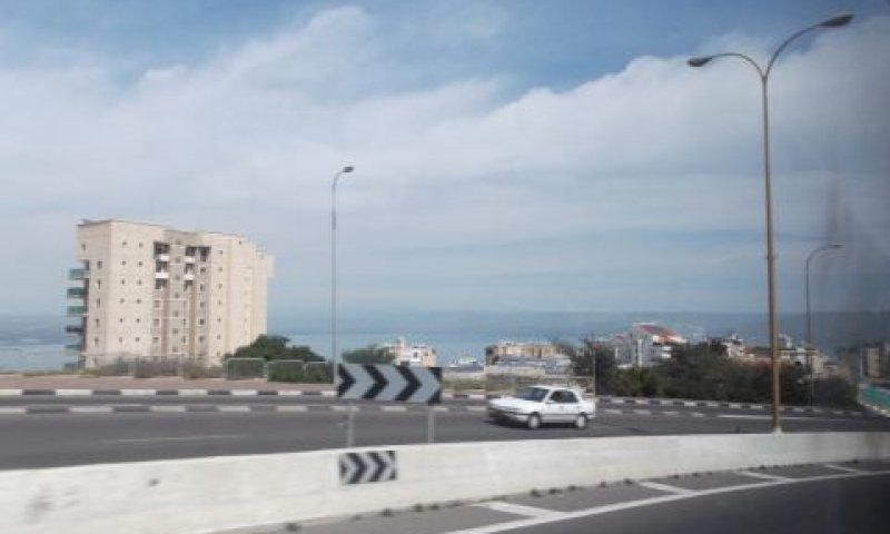 טבריה. גם כאן נמצאו הפרות