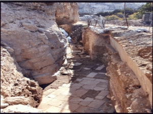 ממצאים חמורים [צילום: רשות העתיקות]