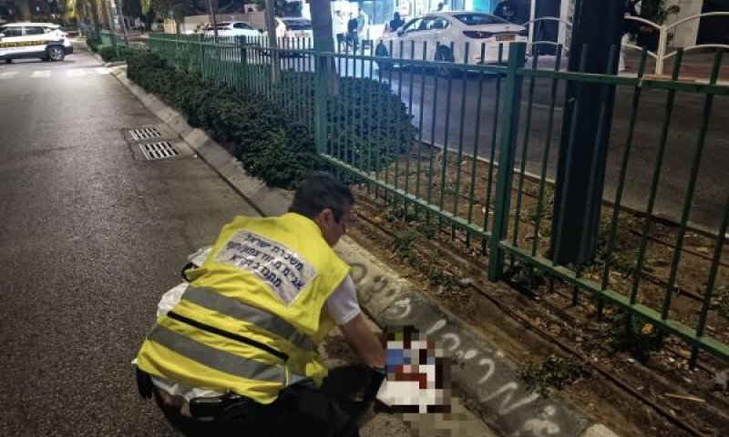 [צילום: דוברות זק"א]