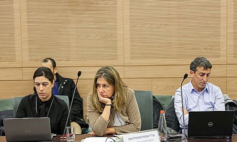 עו"ד אביטל סומפולינסקי בוועדת החוקה [צילום: נועם מושקוביץ, דוברות הכנסת]