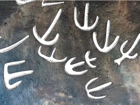 איורים להמחשת החרותות על תקרת הדולמן שליד שמיר [צילום: איור חנית טחן רשות העתיקות]