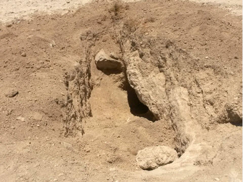 [צילום: היחידה למניעת שוד ברשות העתיקות]