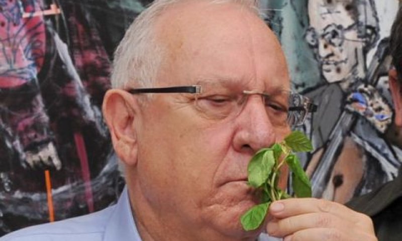 [צילום: ישראל הדרי]