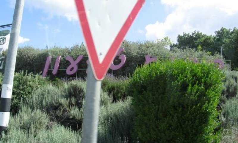 קרית טבעון [צילום: מחלקה ראשונה]